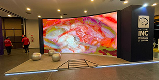 Montagem de Stands Especiais